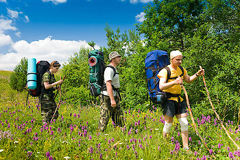 Frauenschuhwanderungen in Franken